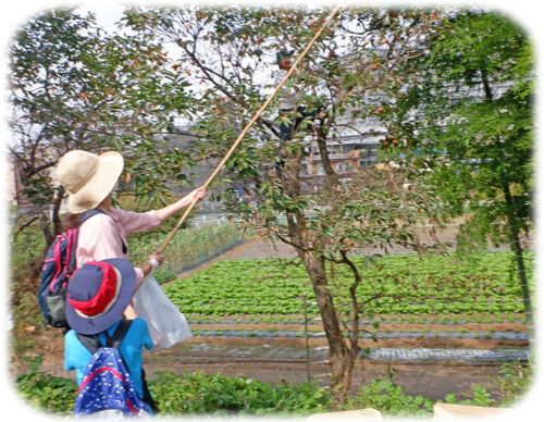 0�����⤮1500