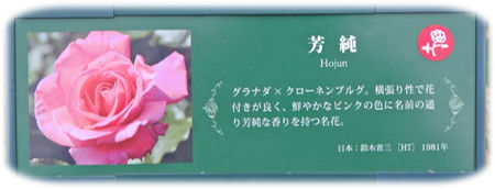 0芳醇450
