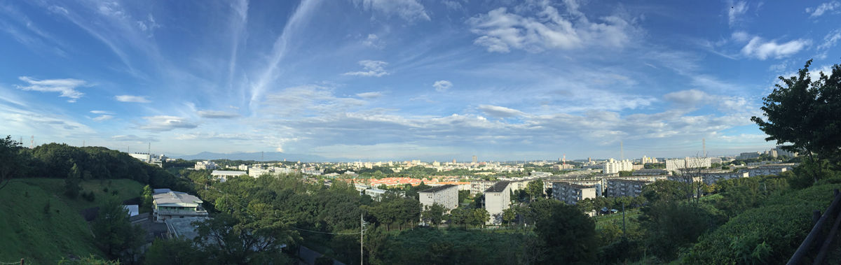 麻生区 はるひ野 若葉台 黒川の生活事典 防人見返り峠 多摩よこやまの道