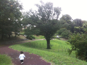 みのり公園の山桜230926
