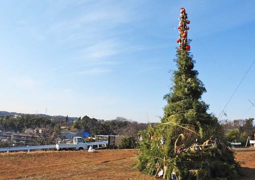 0������_500