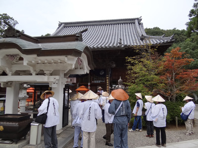 ���ֶ�����