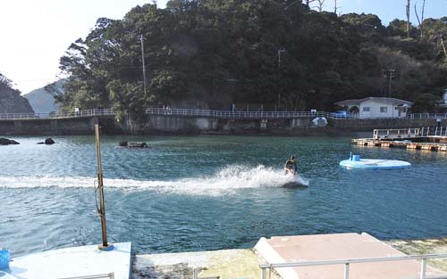 0イルカに乗る500