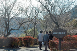 ��������250