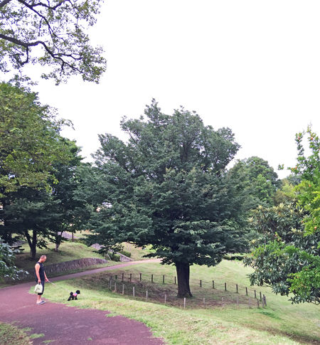 みのり公園5450