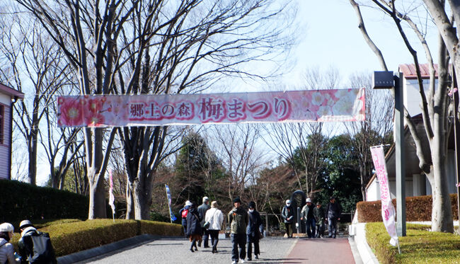 0梅まつり650