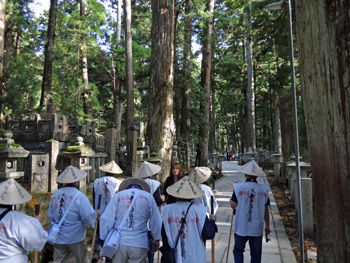 ��������⤯350