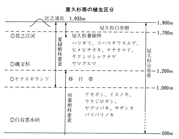 0屋久杉の植生分布図