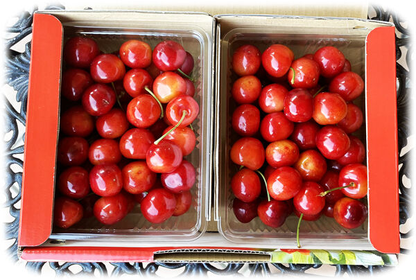 ��������600