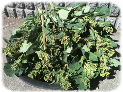 �Υ�ܥ���240321