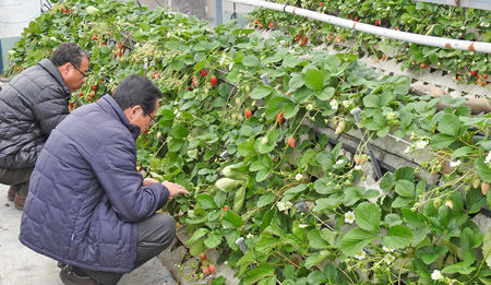 0��ǽ���г�������_450