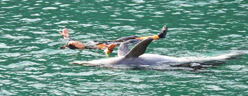 0イルカショー1 500