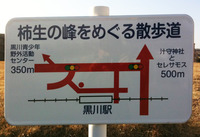 �Ѹ�����230119