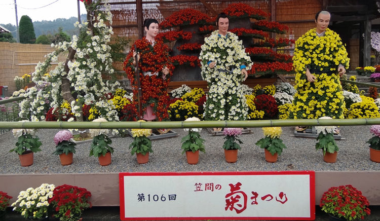 0菊2750