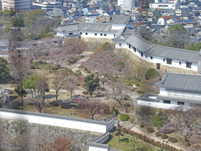 0ŷ��դ����Ÿ˾700