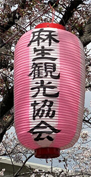 1ºù¥¿¥¤¥È¥ë350