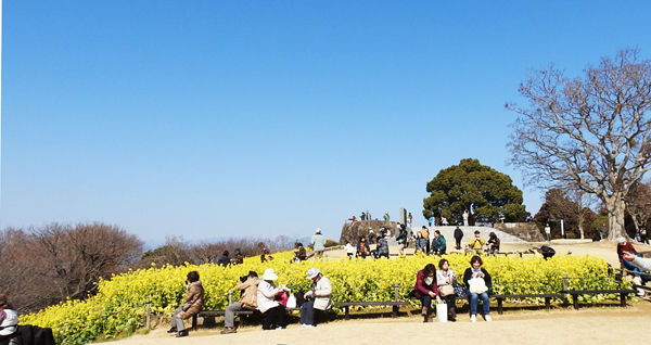 0山頂601