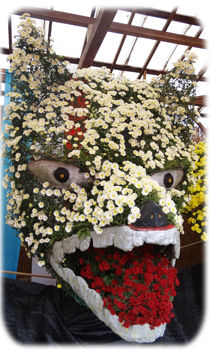 0菊5250