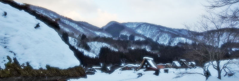 0������¤�800