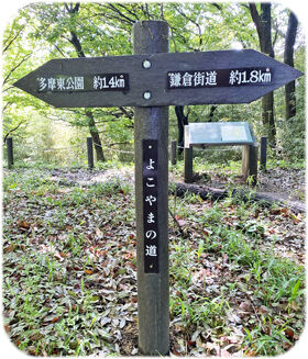 �褳��ޤ�ƻ��ƻɸ280