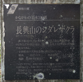 ���β���ʸ