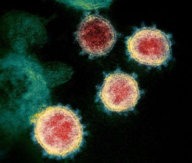 £°¥¦¥¤¥ë¥¹280