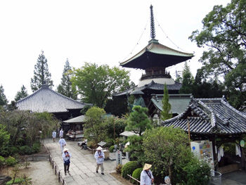 �����֡�Ω����350