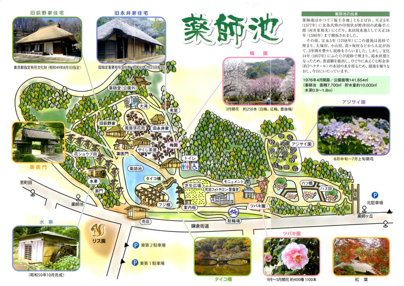 25000薬師池案内