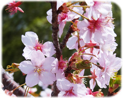 ���β�250317