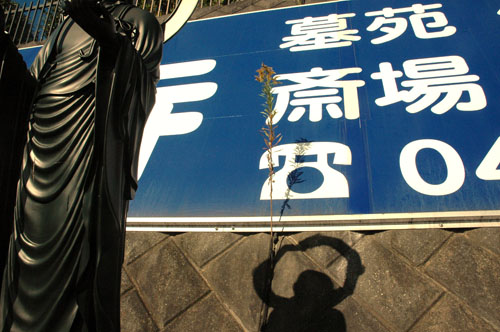 �ع�ˢΩ��500