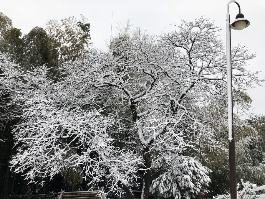 ��������������ݳ�