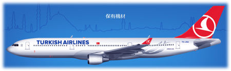 トルコ航空 飛行機450