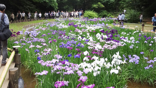 0���β־Գ�_650