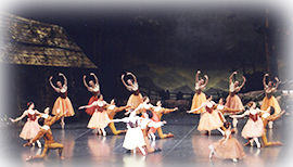 �����룲��