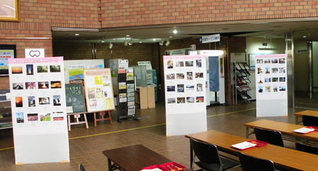 �̿����󥯡��룵