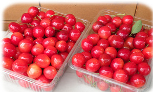 �������ܣ�