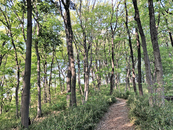 0¿褳ޤƻ300413 600