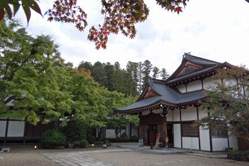 ��������˷��ŷ����350