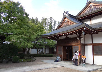 ŷ��������350