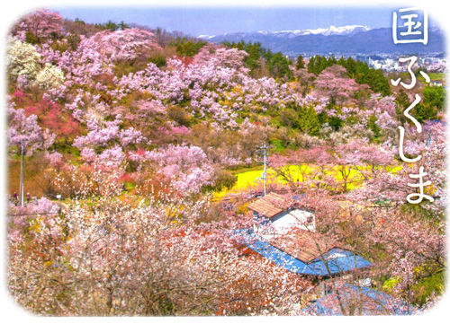 0花見山風景パンフレット500