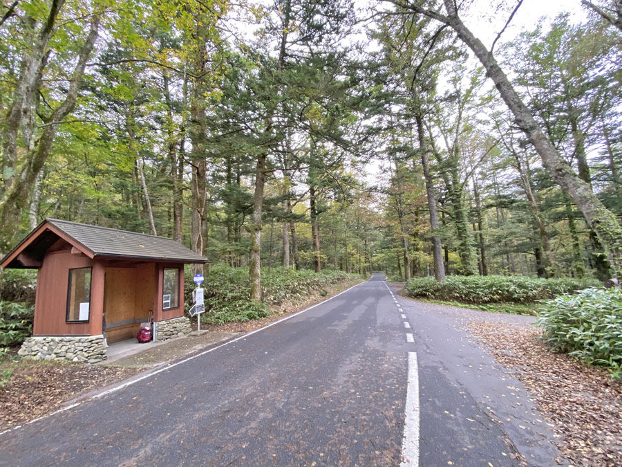 ホテル前道路とバス停
