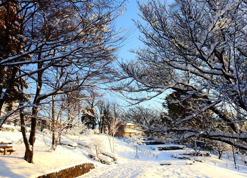 0実り公園1