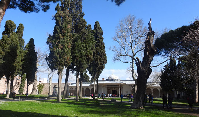 0�ȥץ��׵�������700