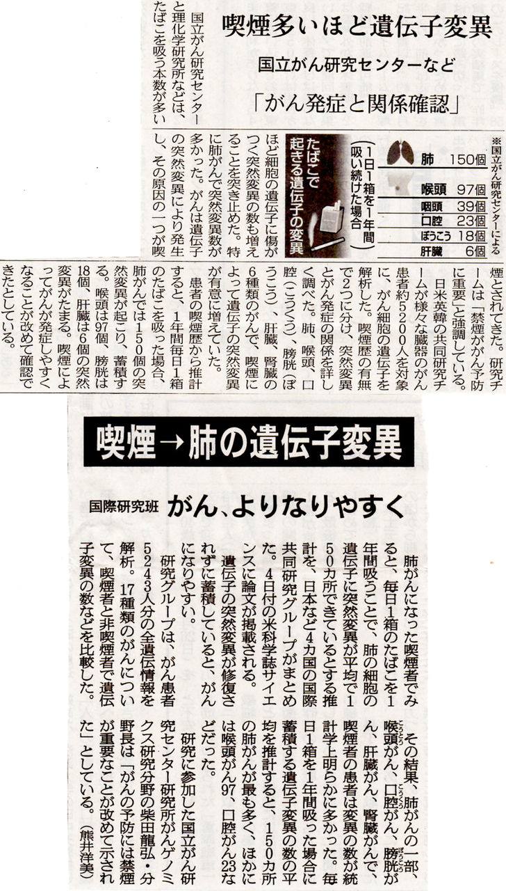 �ʱ�Ȥ���800