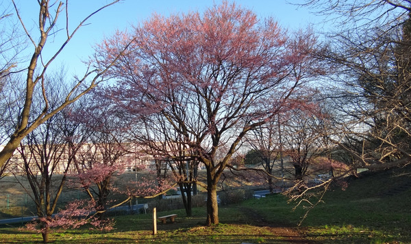 ������ߣ�