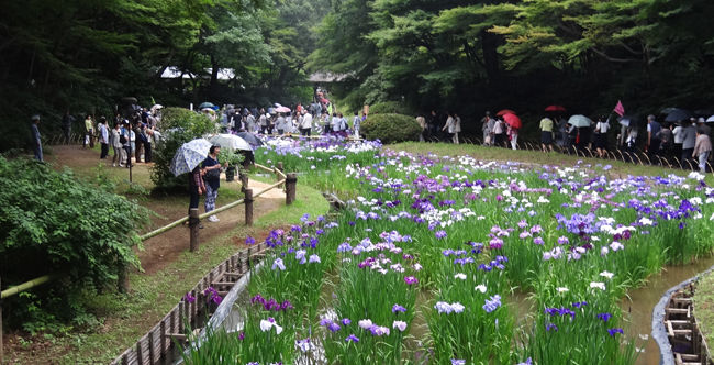 0���β־Գ���_650