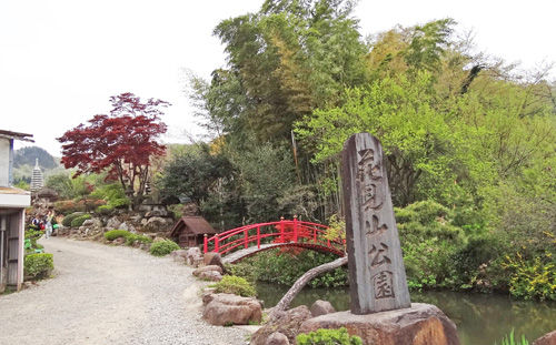 0花見山公園500