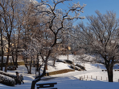 ��ΤߤΤ����240124