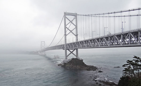 0�����綶600