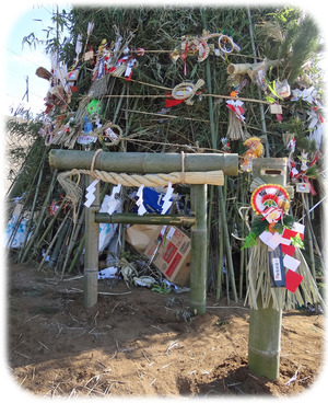 Ļ��Ȥ�����Ȣ